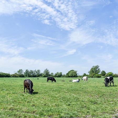 Green Acre Farm อีลี ภายนอก รูปภาพ