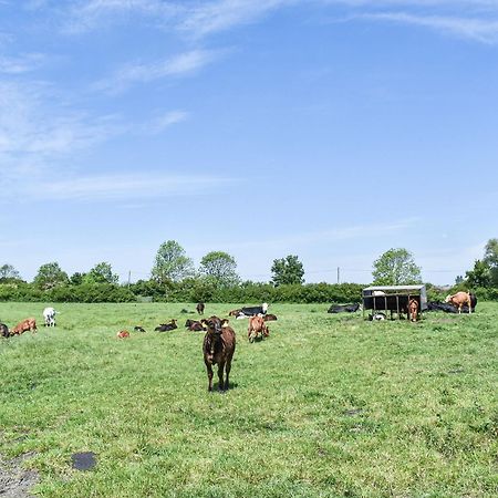 Green Acre Farm อีลี ภายนอก รูปภาพ